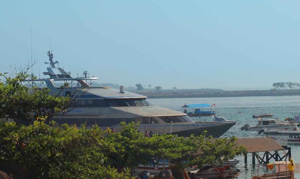 Hébergement de vacances Benoa Rose One *